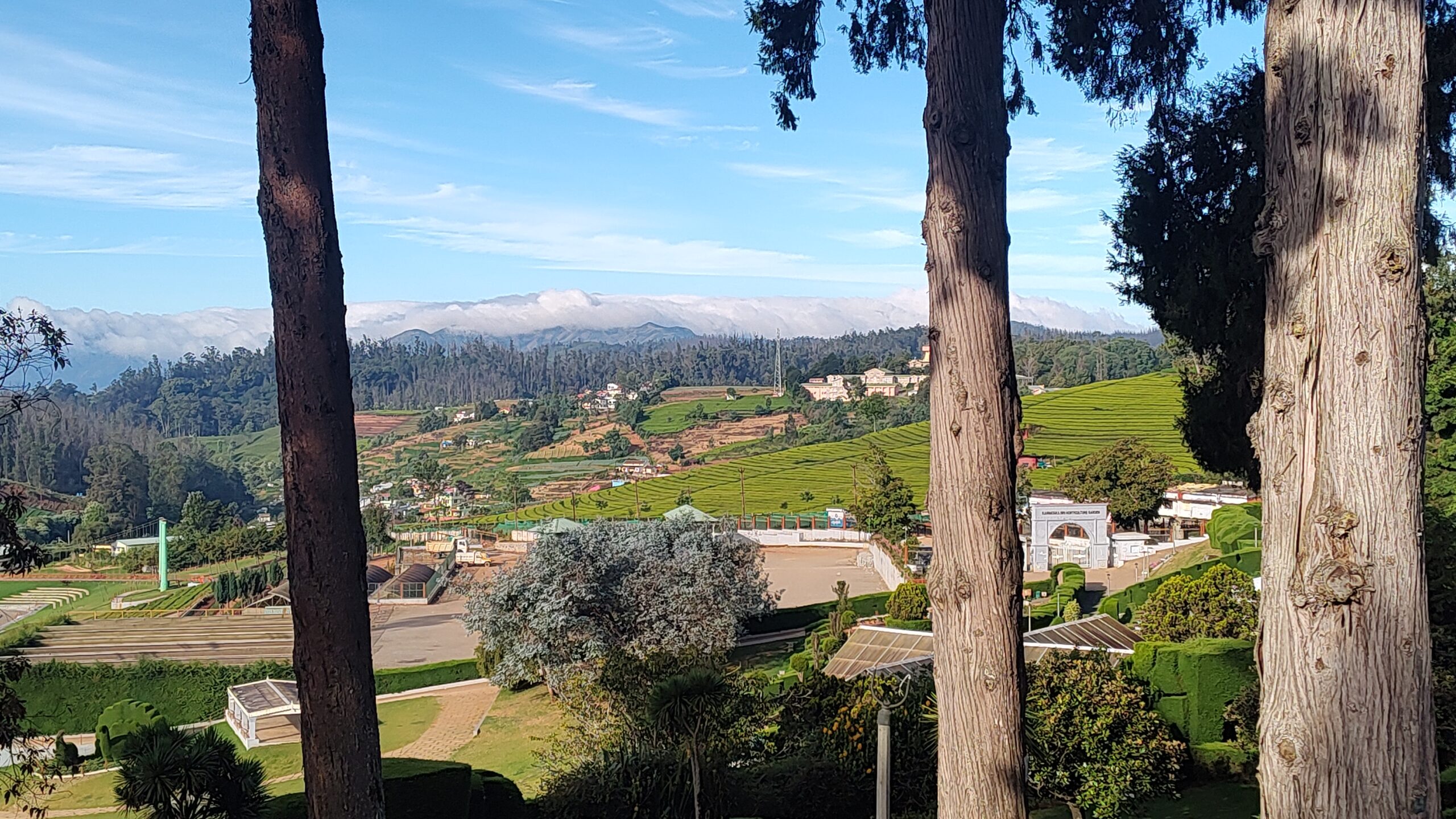 Discover Ooty Together: A Journey through Gardens, Lakes, and Toy Trains