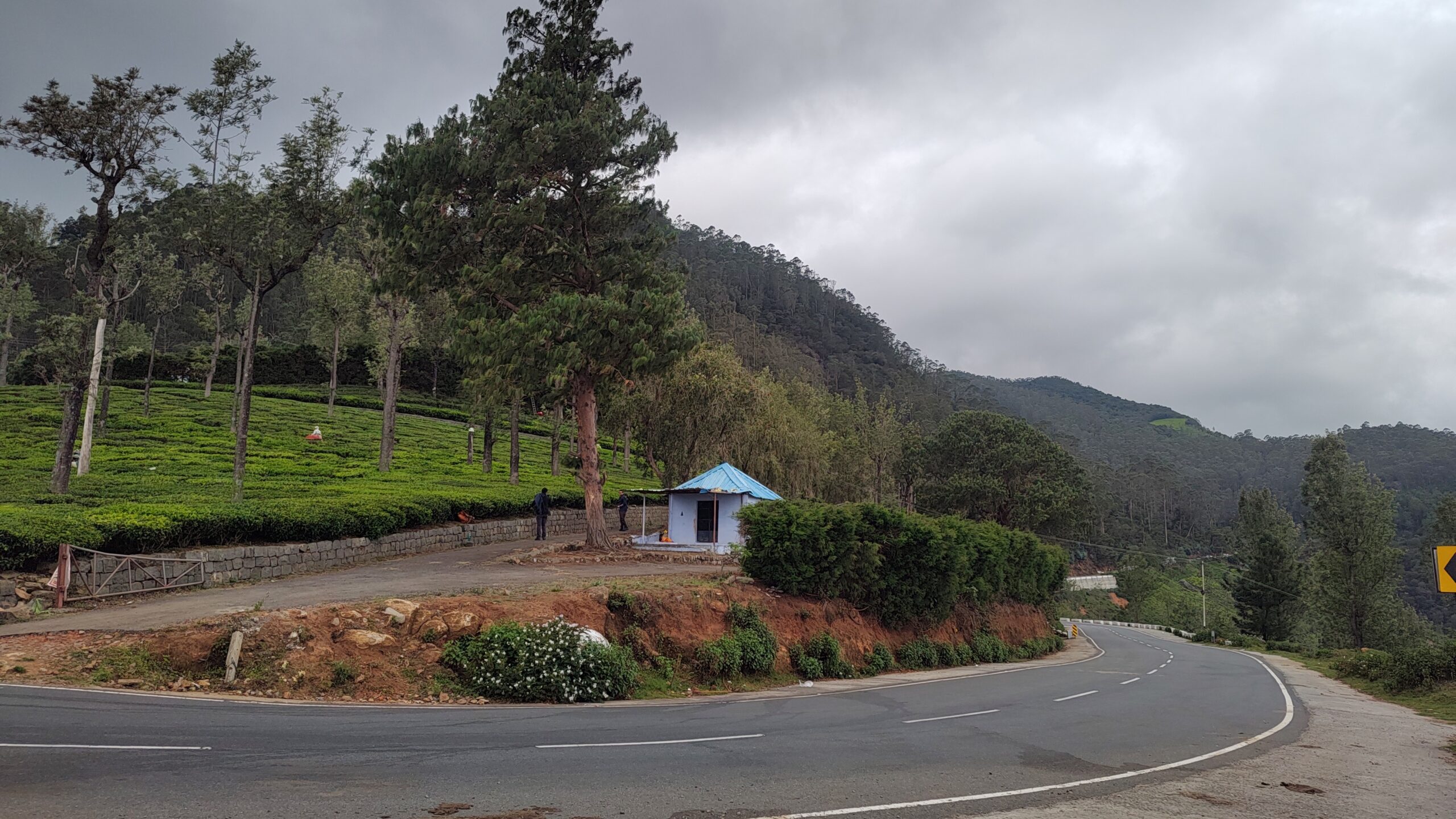 Discover Ooty Together: A Journey through Gardens, Lakes, and Toy Trains
