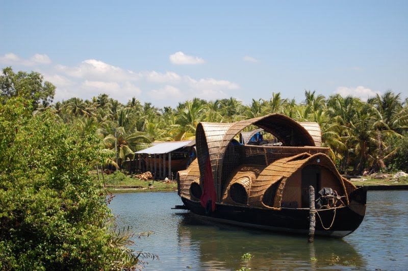 Munnar Unexplored: Secrets the Hills Whisper