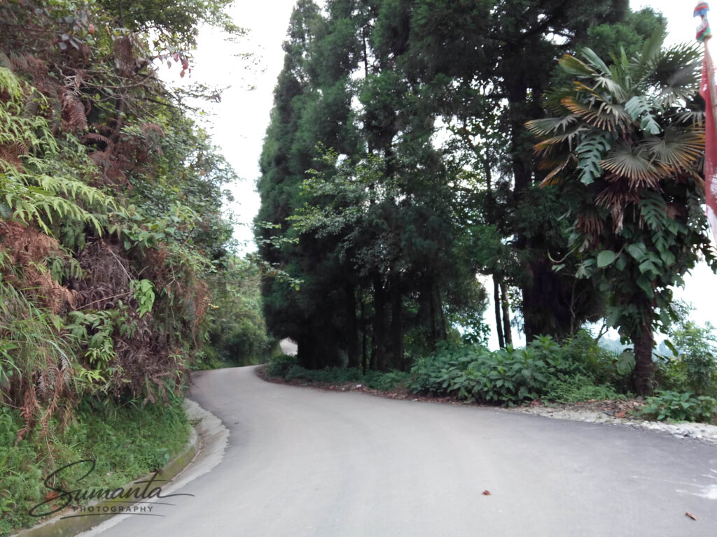 tinchuley_darjeeling_road