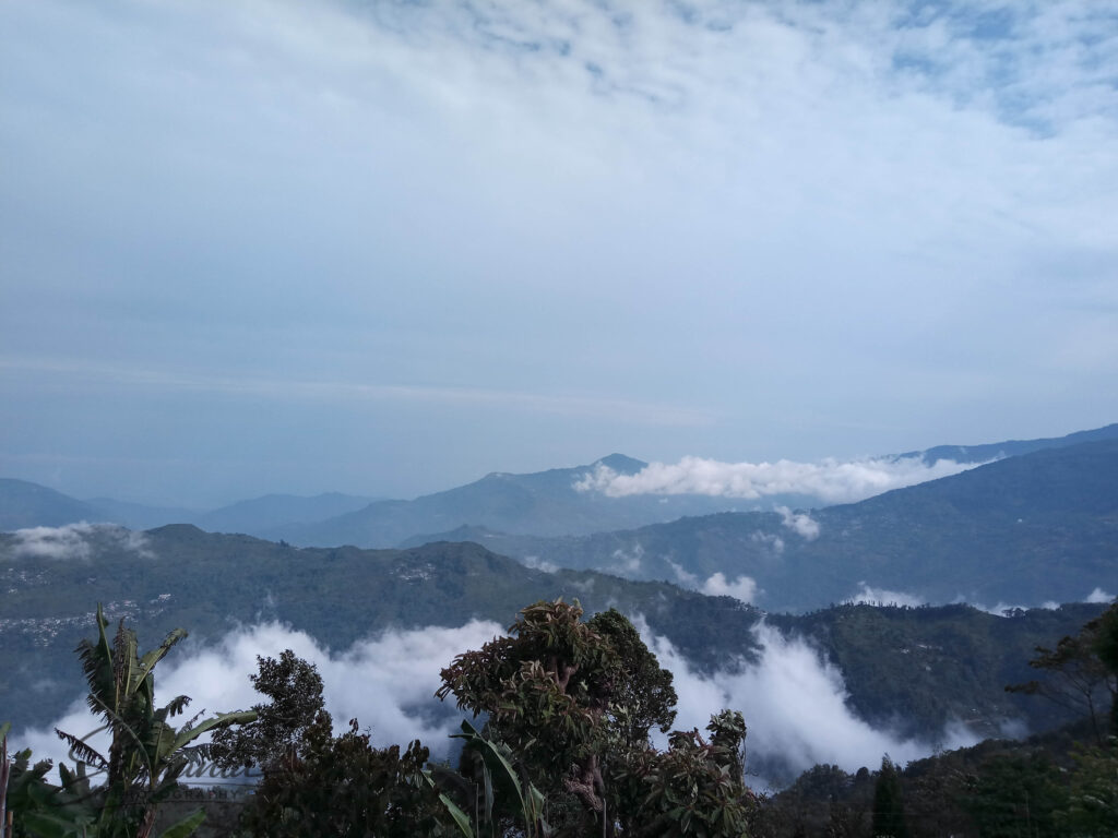 tinchuley_darjeeling