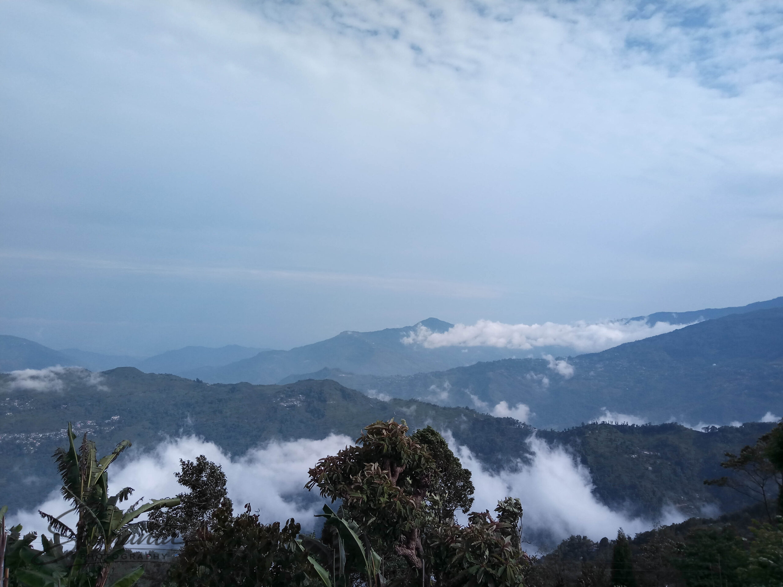 tinchuley_darjeeling