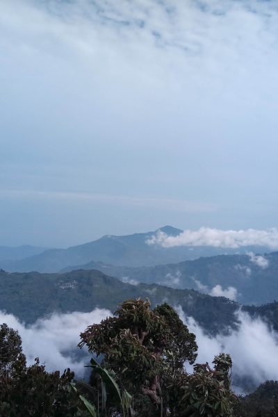 tinchuley_darjeeling