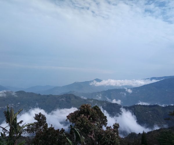 tinchuley_darjeeling