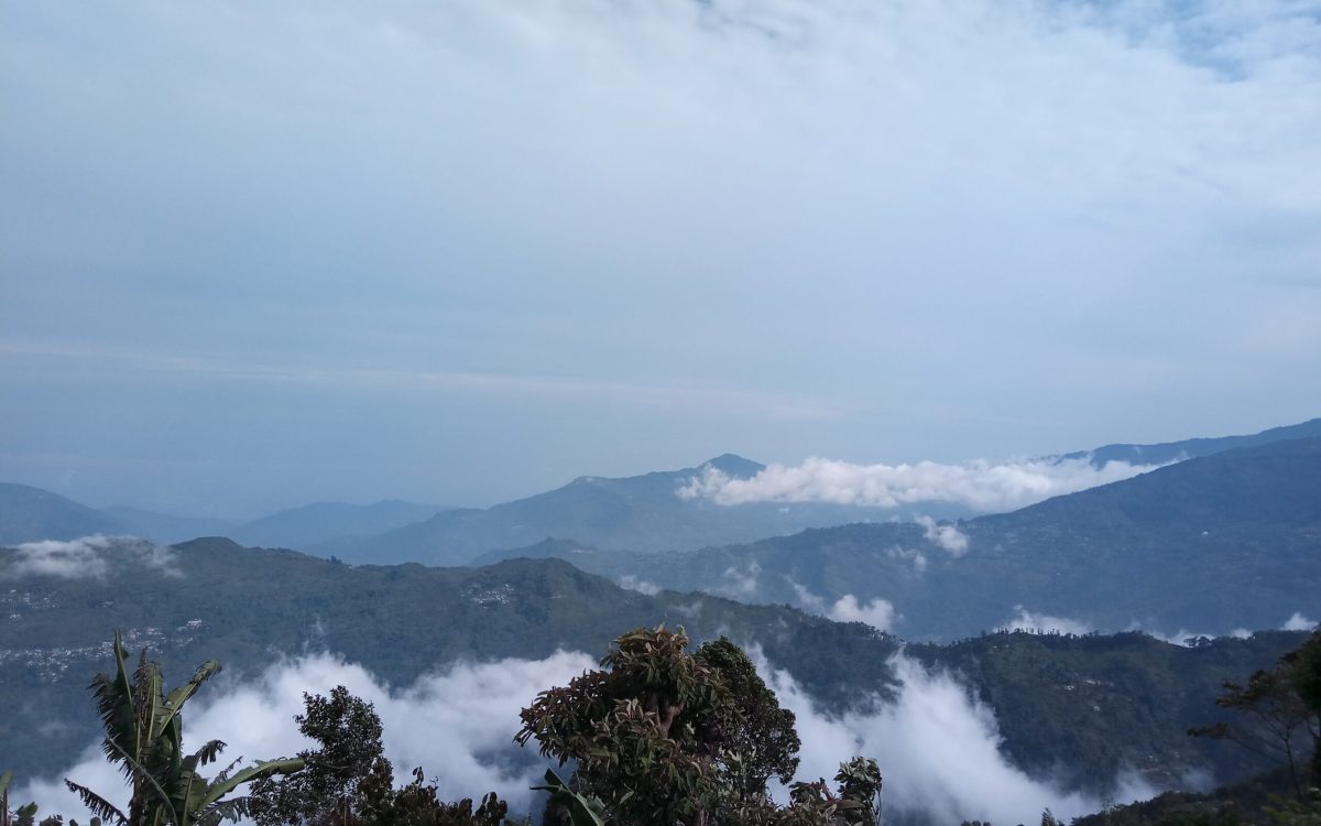 A Family Photographic Journey Through the Dooars Forests & Wildlife