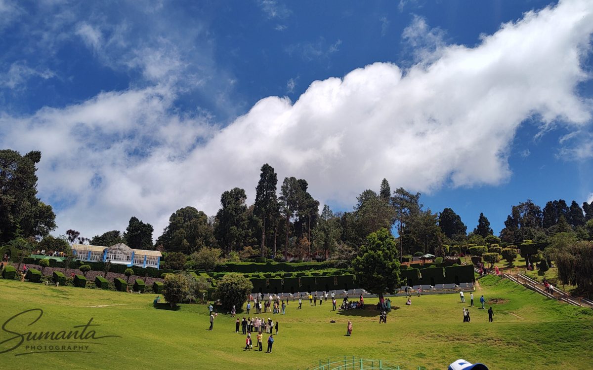 Ooty: Where Tranquility Meets Adventure in the Nilgiris