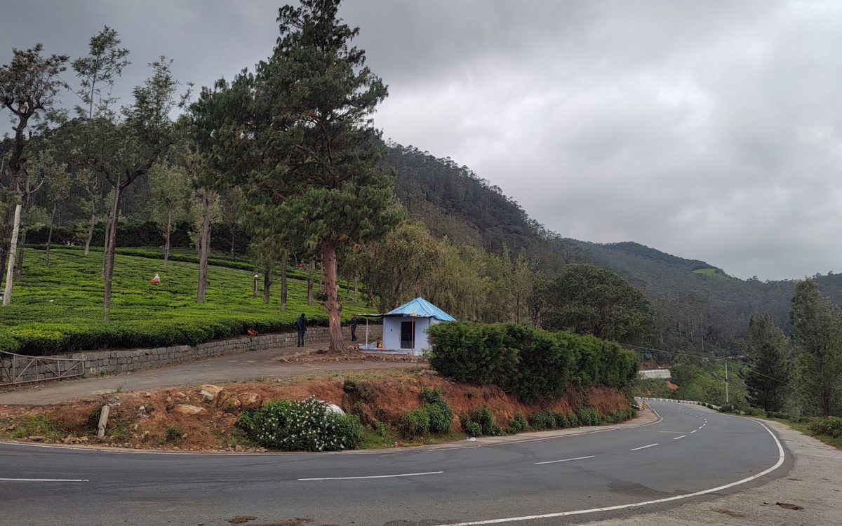 Discover Ooty Together: A Journey through Gardens, Lakes, and Toy Trains